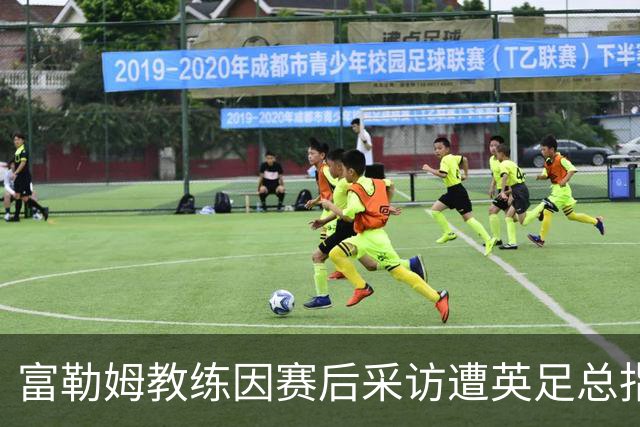 富勒姆教练因赛后采访遭英足总指控
